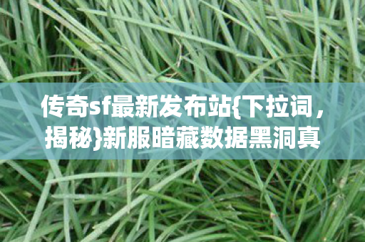 传奇sf最新发布站{下拉词,揭秘}新服暗藏数据黑洞真相 传奇sf最新发布站{下拉词,揭秘}新服暗藏数据黑洞真相