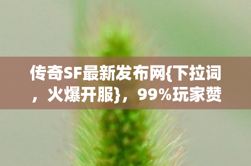 传奇SF最新发布网{下拉词,火爆开服},99%玩家赞不绝口 传奇SF最新发布网{下拉词,火爆开服},99%玩家赞不绝口