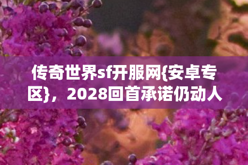 2028回首承诺仍动人图片