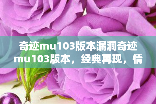 奇迹mu103版本漏洞奇迹mu103版本图片