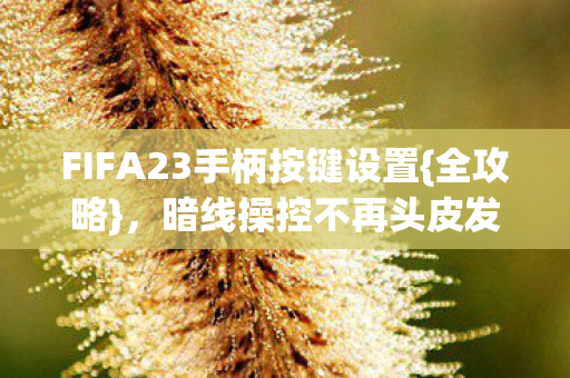 FIFA23手柄按键设置{全攻略},暗线操控不再头皮发麻 FIFA23手柄按键设置{全攻略},暗线操控不再头皮发麻