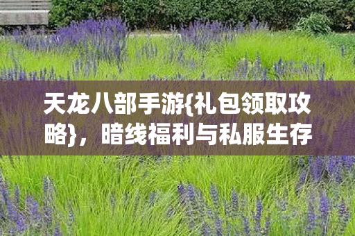 暗线福利与私服生存法则图片