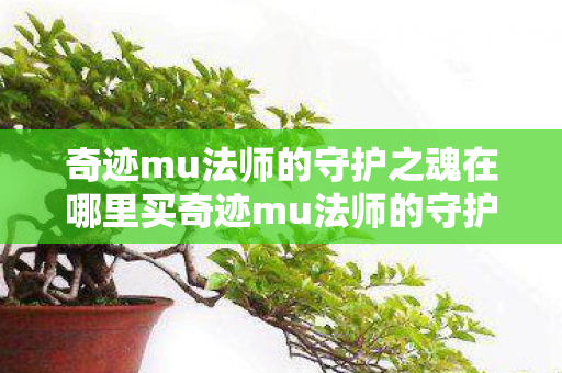 奇迹mu法师的守护之魂在哪里买奇迹mu法师的守护之魂图片