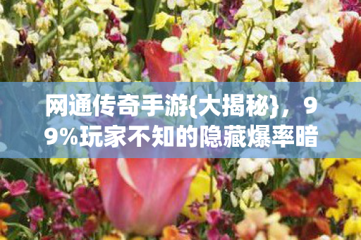 网通传奇手游{大揭秘},99%玩家不知的隐藏爆率暗改内幕 网通传奇手游{大揭秘},99%玩家不知的隐藏爆率暗改内幕
