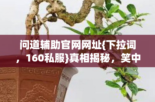问道辅助官网网址{下拉词,160私服}真相揭秘,笑中带泪的历程 问道辅助官网网址{下拉词,160私服}真相揭秘,笑中带泪的历程