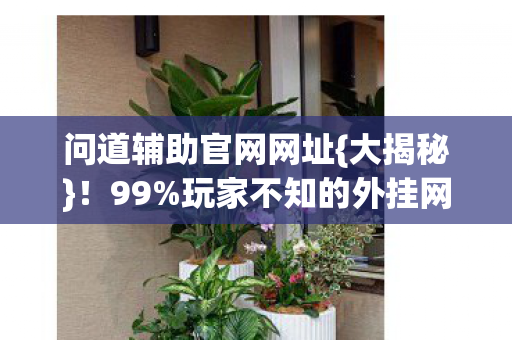 问道辅助官网网址{大揭秘}!99%玩家不知的外挂网秘密 问道辅助官网网址{大揭秘}!99%玩家不知的外挂网秘密