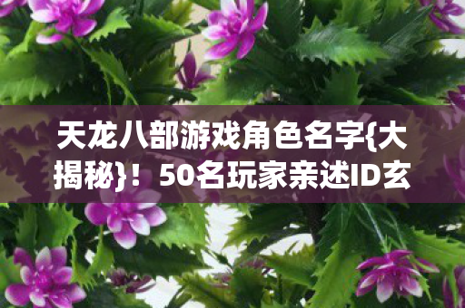 50名玩家亲述ID玄机图片