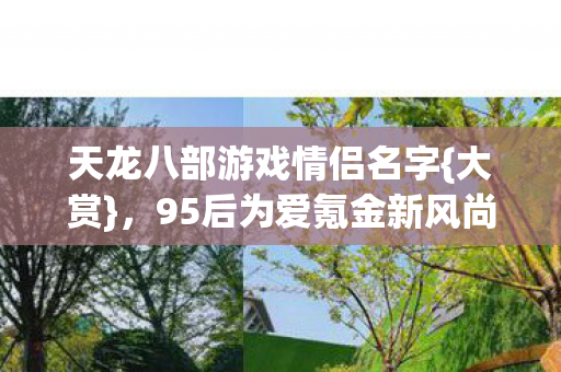 天龙八部游戏情侣名字图片