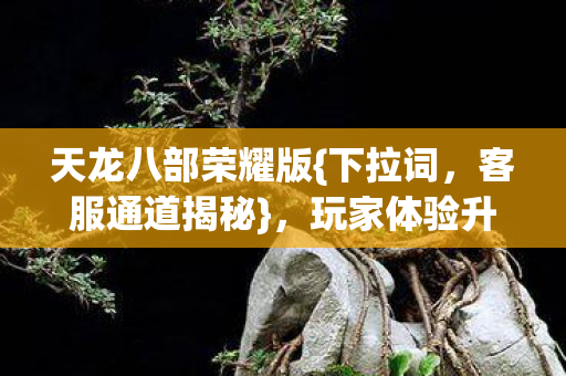 玩家体验升级心得图片
