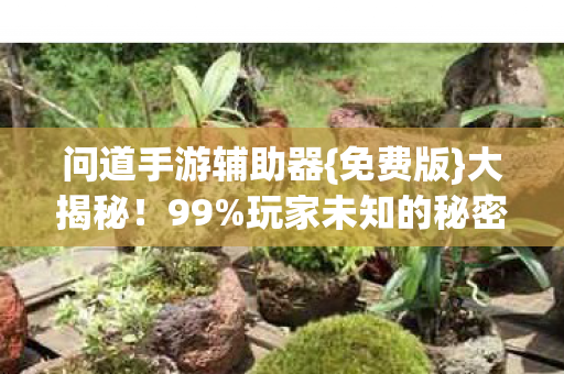 问道手游辅助器{免费版}大揭秘!99%玩家未知的秘密 问道手游辅助器{免费版}大揭秘!99%玩家未知的秘密