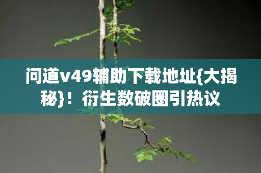 问道v49辅助下载地址{大揭秘}！衍生数破圈引热议