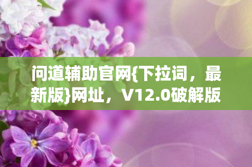 问道辅助官网{下拉词，最新版}网址，V12.0破解版引回忆杀