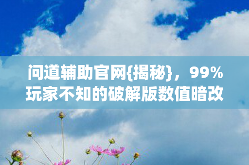 问道辅助官网{揭秘},99%玩家不知的破解版数值暗改真相 问道辅助官网{揭秘},99%玩家不知的破解版数值暗改真相