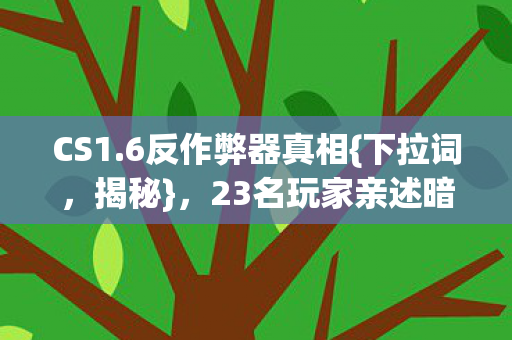 CS1.6反作弊器真相{下拉词,揭秘},23名玩家亲述暗藏透视挂? CS1.6反作弊器真相{下拉词,揭秘},23名玩家亲述暗藏透视挂?