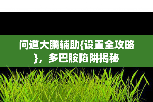 问道大鹏辅助{设置全攻略}，多巴胺陷阱揭秘