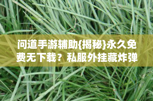 问道手游辅助{揭秘}永久免费无下载?私服外挂藏炸弹 问道手游辅助{揭秘}永久免费无下载?私服外挂藏炸弹