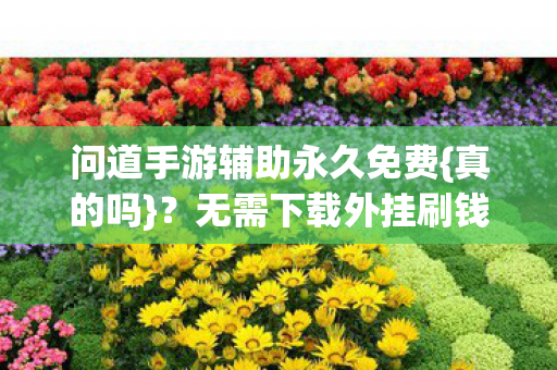 问道手游辅助永久免费{真的吗}？无需下载外挂刷钱探讨