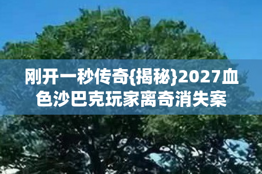2027血色沙巴克玩家离奇消失案图片