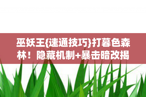 巫妖王{速通技巧}打暮色森林!隐藏机制+暴击暗改揭秘 巫妖王{速通技巧}打暮色森林!隐藏机制+暴击暗改揭秘