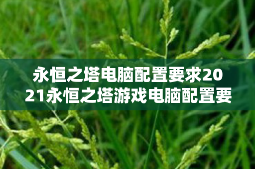 永恒之塔电脑配置要求2021永恒之塔游戏电脑配置要求图片