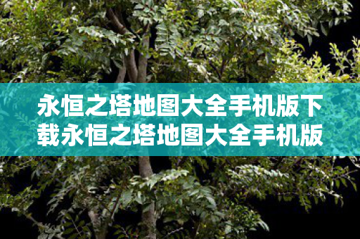 永恒之塔地图大全手机版下载永恒之塔地图大全手机版图片