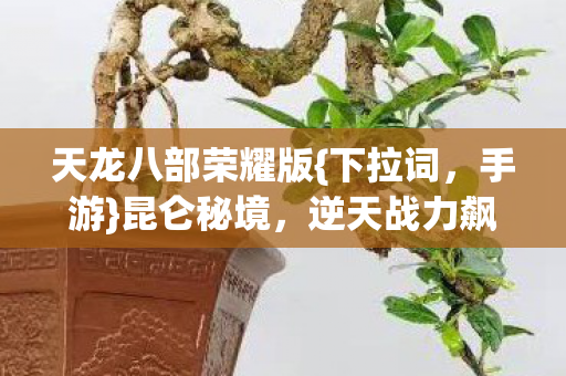 逆天战力飙升术揭秘图片