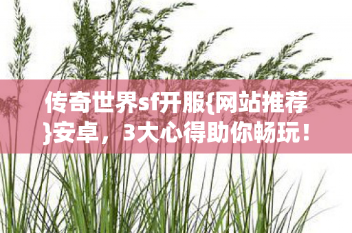 传奇世界sf开服图片