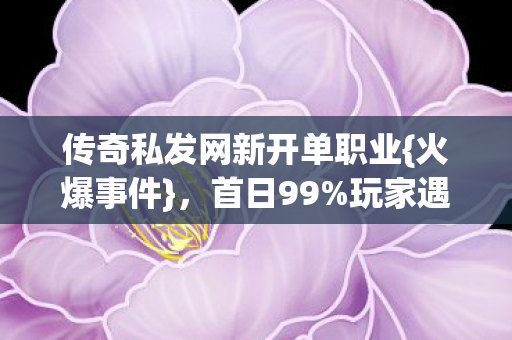 传奇私发网新开单职业图片