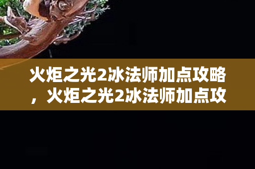 火炬之光2冰法师加点攻略图片