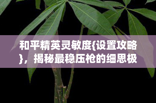 揭秘最稳压枪的细思极恐陷阱图片