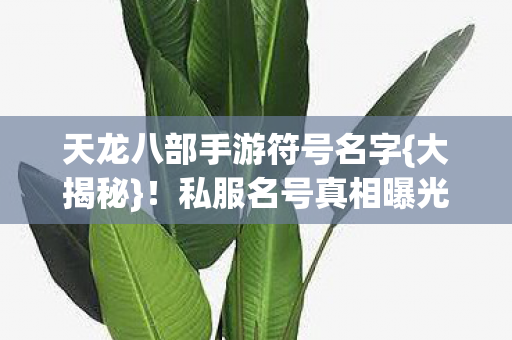 天龙八部手游符号名字图片