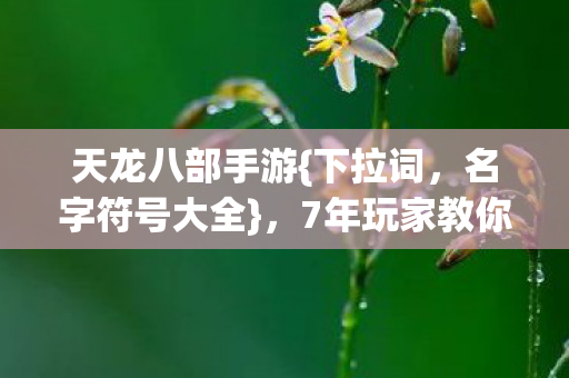 7年玩家教你选符号称霸图片