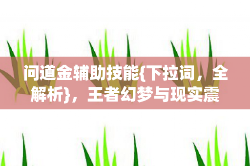 问道金辅助技能{下拉词,全解析},王者幻梦与现实震颤 问道金辅助技能{下拉词,全解析},王者幻梦与现实震颤