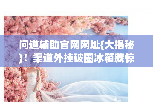 问道辅助官网网址{大揭秘}!渠道外挂破圈冰箱藏惊喜 问道辅助官网网址{大揭秘}!渠道外挂破圈冰箱藏惊喜