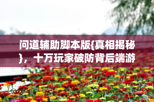 问道辅助脚本版{真相揭秘},十万玩家破防背后端游谜团 问道辅助脚本版{真相揭秘},十万玩家破防背后端游谜团