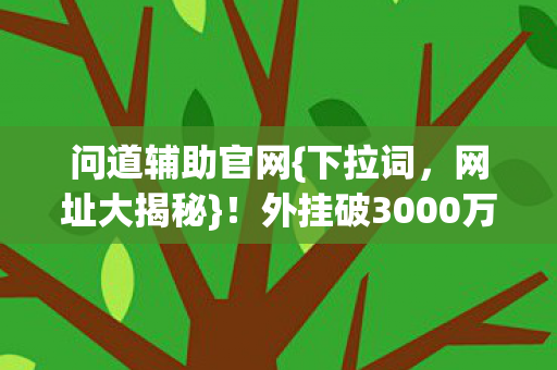 问道辅助官网{下拉词,网址大揭秘}!外挂破3000万引热议 问道辅助官网{下拉词,网址大揭秘}!外挂破3000万引热议