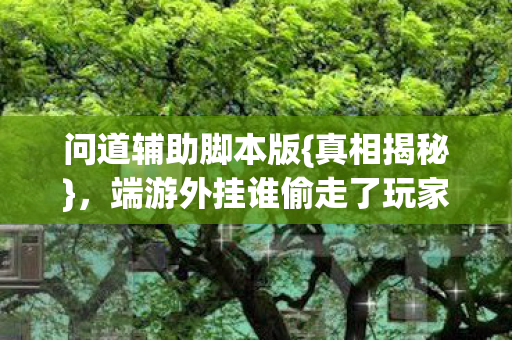 问道辅助脚本版{真相揭秘},端游外挂谁偷走了玩家青春? 问道辅助脚本版{真相揭秘},端游外挂谁偷走了玩家青春?