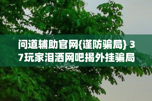 问道辅助官网{谨防骗局} 37玩家泪洒网吧揭外挂骗局 问道辅助官网{谨防骗局} 37玩家泪洒网吧揭外挂骗局