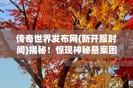 惊现神秘悬案困局图片