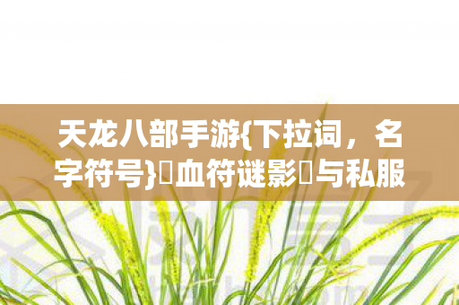 与私服悬案解析图片