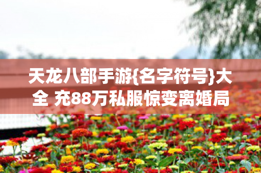大全 充88万私服惊变离婚局图片