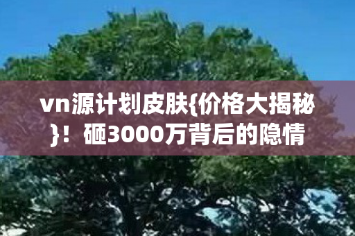 vn源计划皮肤{价格大揭秘}！砸3000万背后的隐情