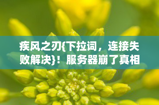 疾风之刃{下拉词,连接失败解决}!服务器崩了真相揭秘 疾风之刃{下拉词,连接失败解决}!服务器崩了真相揭秘