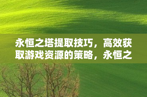 永恒之塔高效资源提取技巧图片