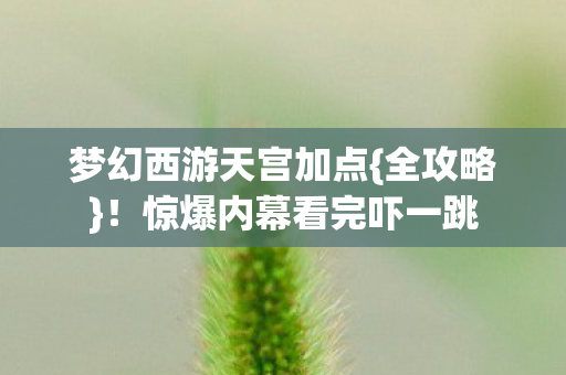 梦幻西游天宫加点{全攻略}！惊爆内幕看完吓一跳