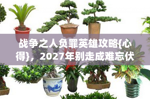 战争之人负罪英雄攻略{心得},2027年别走成难忘伏笔 战争之人负罪英雄攻略{心得},2027年别走成难忘伏笔