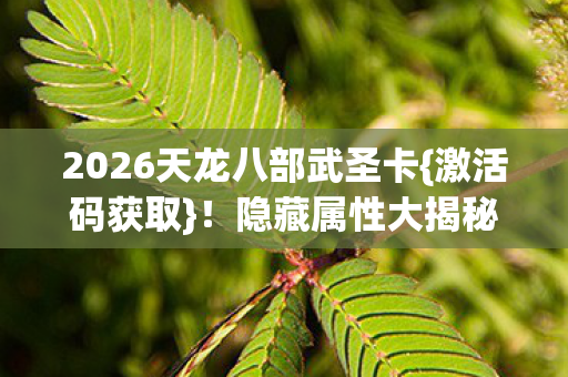 2026天龙八部武圣卡{激活码获取}!隐藏属性大揭秘 2026天龙八部武圣卡{激活码获取}!隐藏属性大揭秘