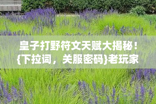 皇子打野符文天赋大揭秘!{下拉词,关服密码}老玩家必看 皇子打野符文天赋大揭秘!{下拉词,关服密码}老玩家必看