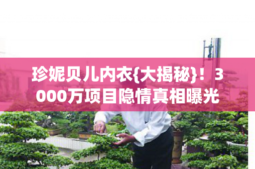 珍妮贝儿内衣{大揭秘}!3000万项目隐情真相曝光 珍妮贝儿内衣{大揭秘}!3000万项目隐情真相曝光