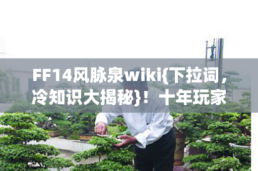 FF14风脉泉wiki{下拉词，冷知识大揭秘}！十年玩家都惊了